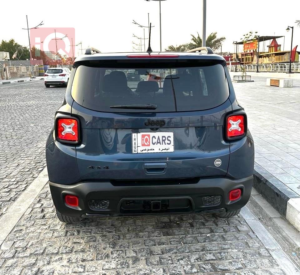 جيب رينيجيد